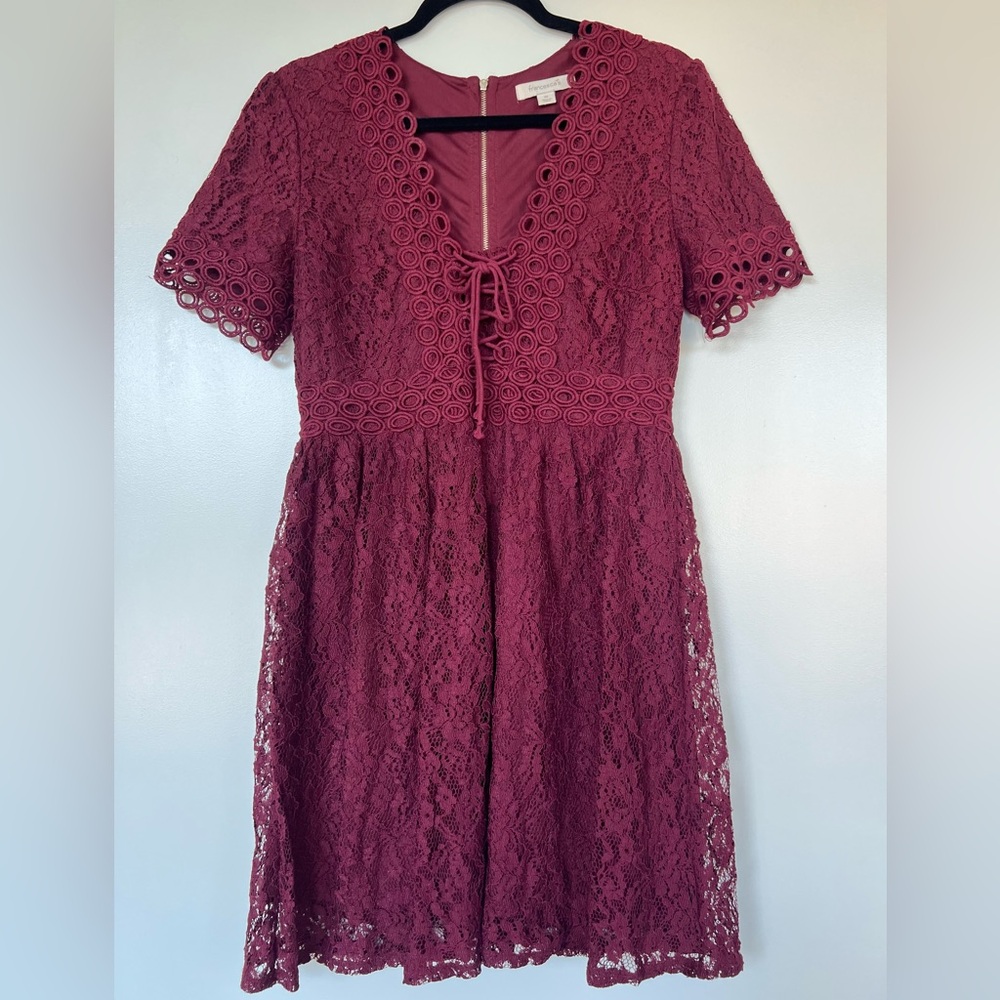 Francesca's Collections Burgundy Lace Mini Dress